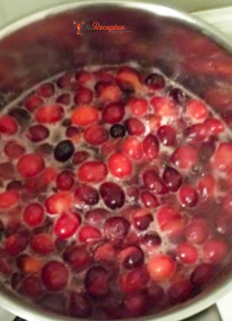 Cranberry Siroop Maken